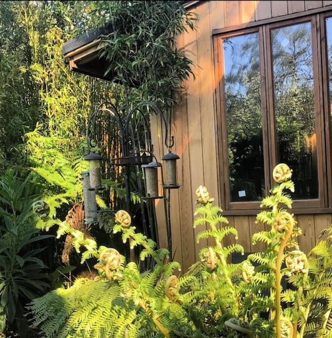 Jungle Cabin Martin Mill Exteriör bild