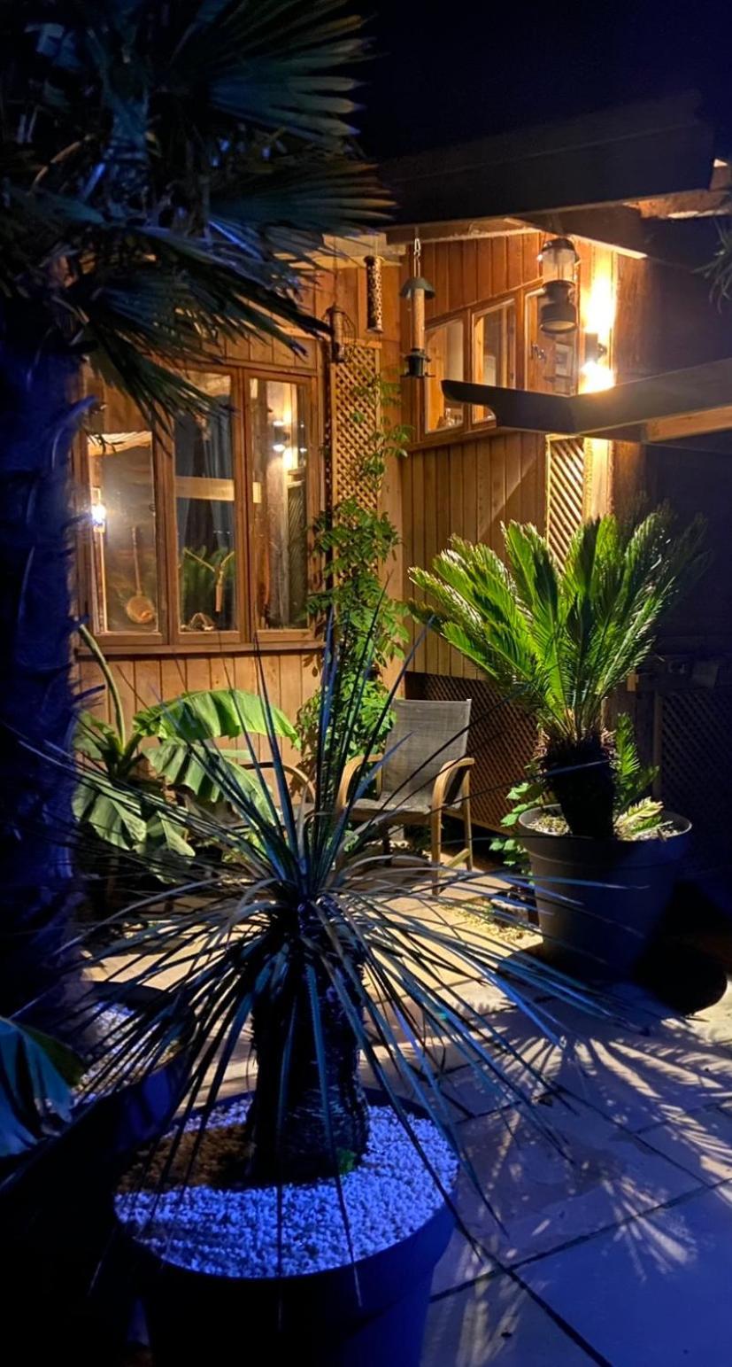 Jungle Cabin Martin Mill Exteriör bild