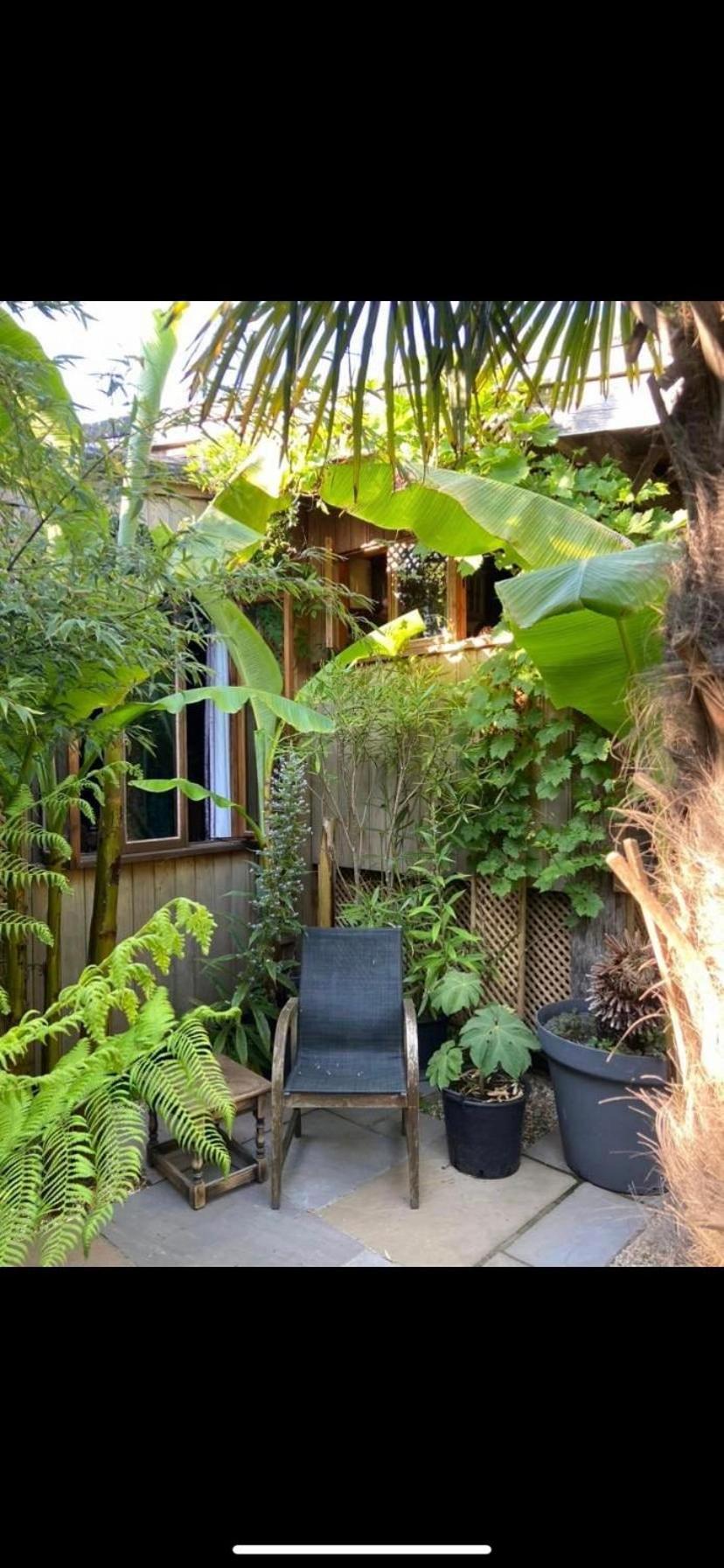 Jungle Cabin Martin Mill Exteriör bild